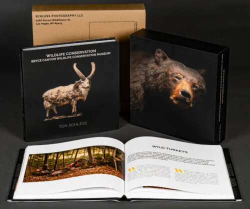 Wildlife Conservation - Bryce Canyon Wildlife Conservation Museum