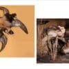 Wildlife Conservation -Bryce Canyon Wildlife Conservation Museum, Ducks