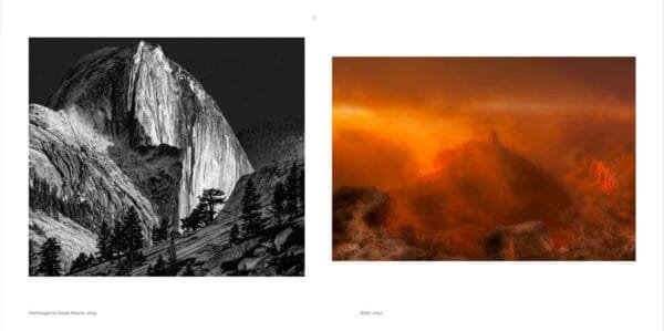 Homage to Ansel Adams, 2014, and Birth, 2013
