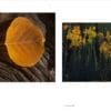 Perfection in Yellow, 2015, and Turning, 2018