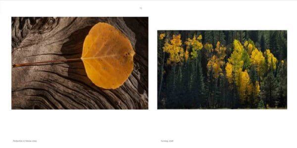 Perfection in Yellow, 2015, and Turning, 2018