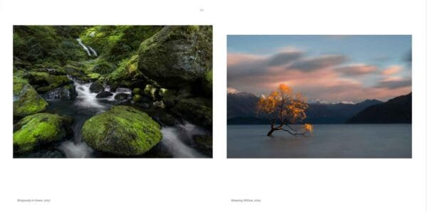 Rhapsody in Green, 2017, and Weeping Willow, 2019